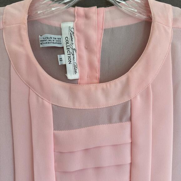 Vintage 80s Pink Sheer‎ Blouse Laura & Jayne Petite Pleated Front Size 12 - Picture 8 of 13